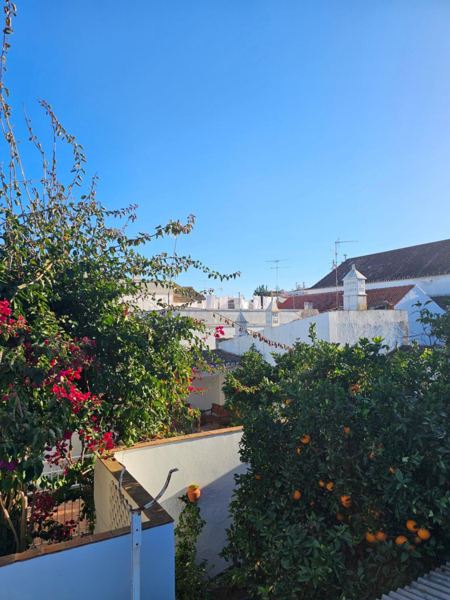 Aguarela Tavira Hotel Exterior photo